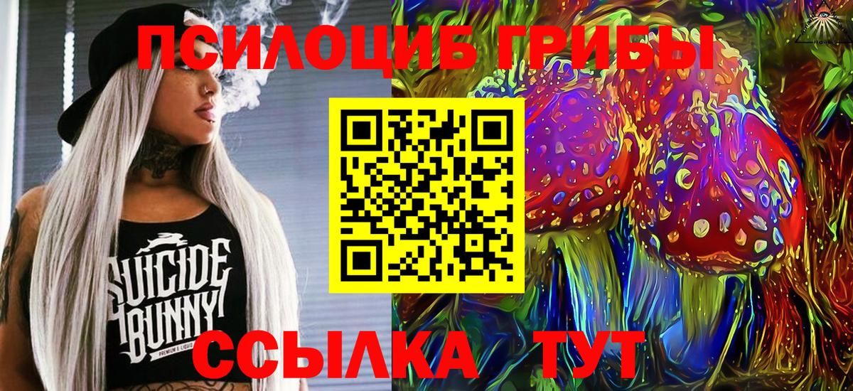 Псилоцибиновые грибы ЛСД  Галлюциногенные грибы Magic Shrooms  Электрогорск  Вход с VPN 